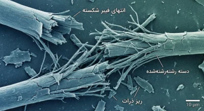 تصویر میکروسکوپی از شکستگی الیاف پارچه لاکرا و تشکیل پرز لباس